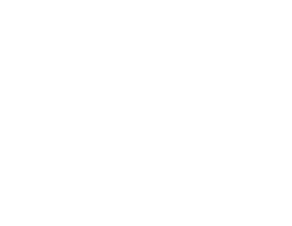 Pioneers of Personal Development Logo White